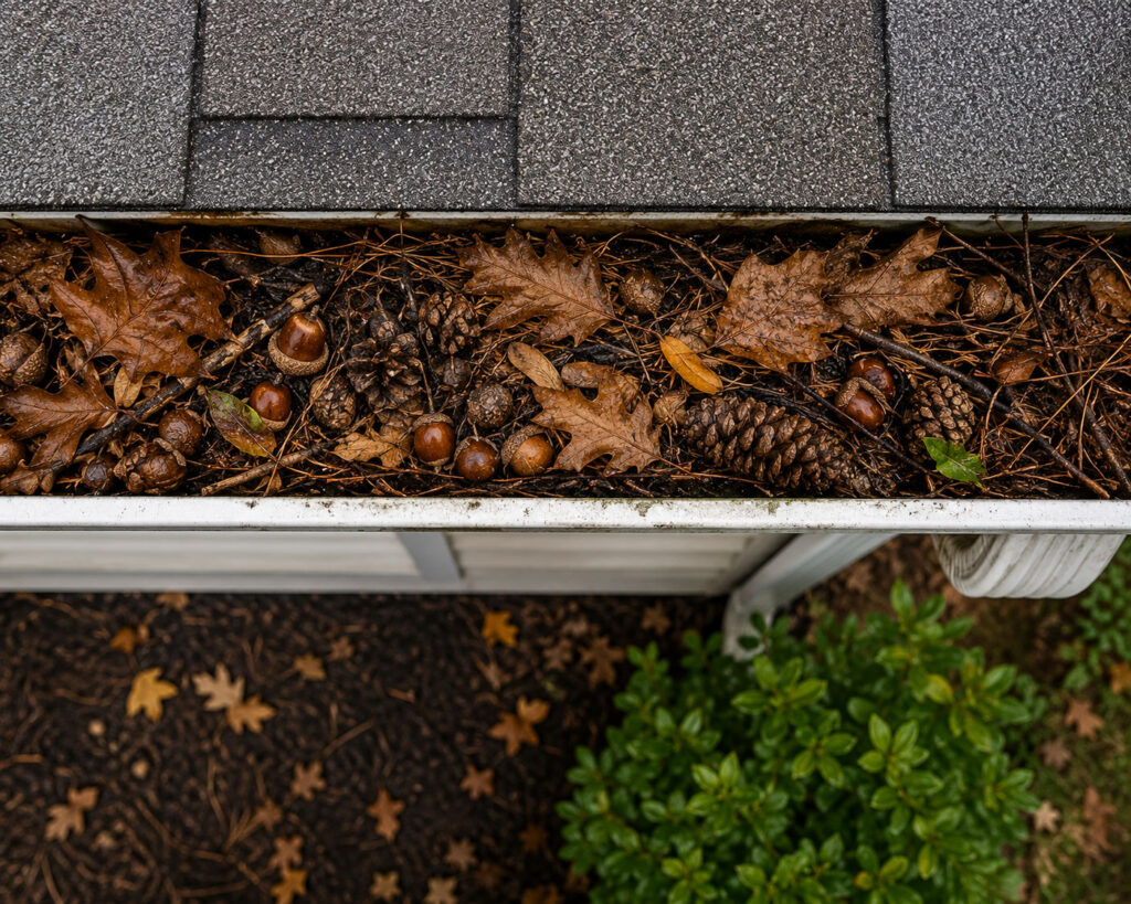 clogger gutter